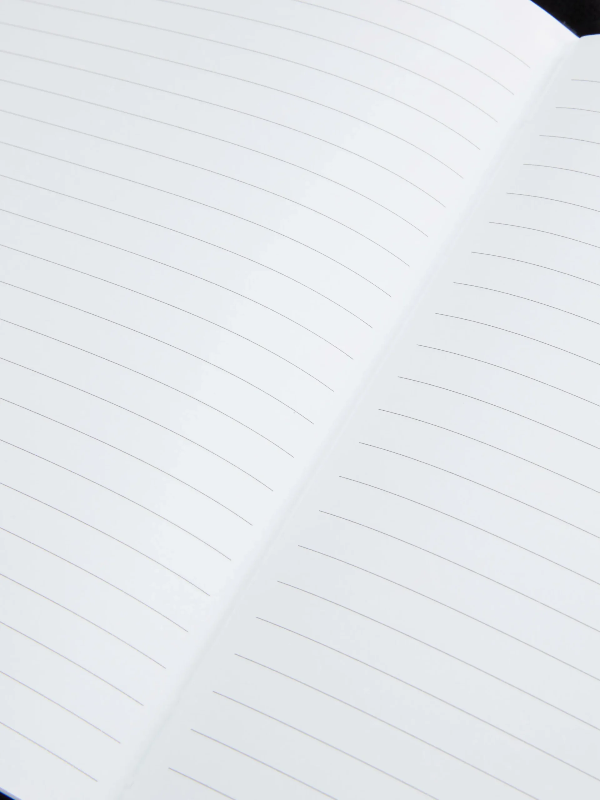 Carnets|Primark Carnet A5 Animal Duveteux Multicolore