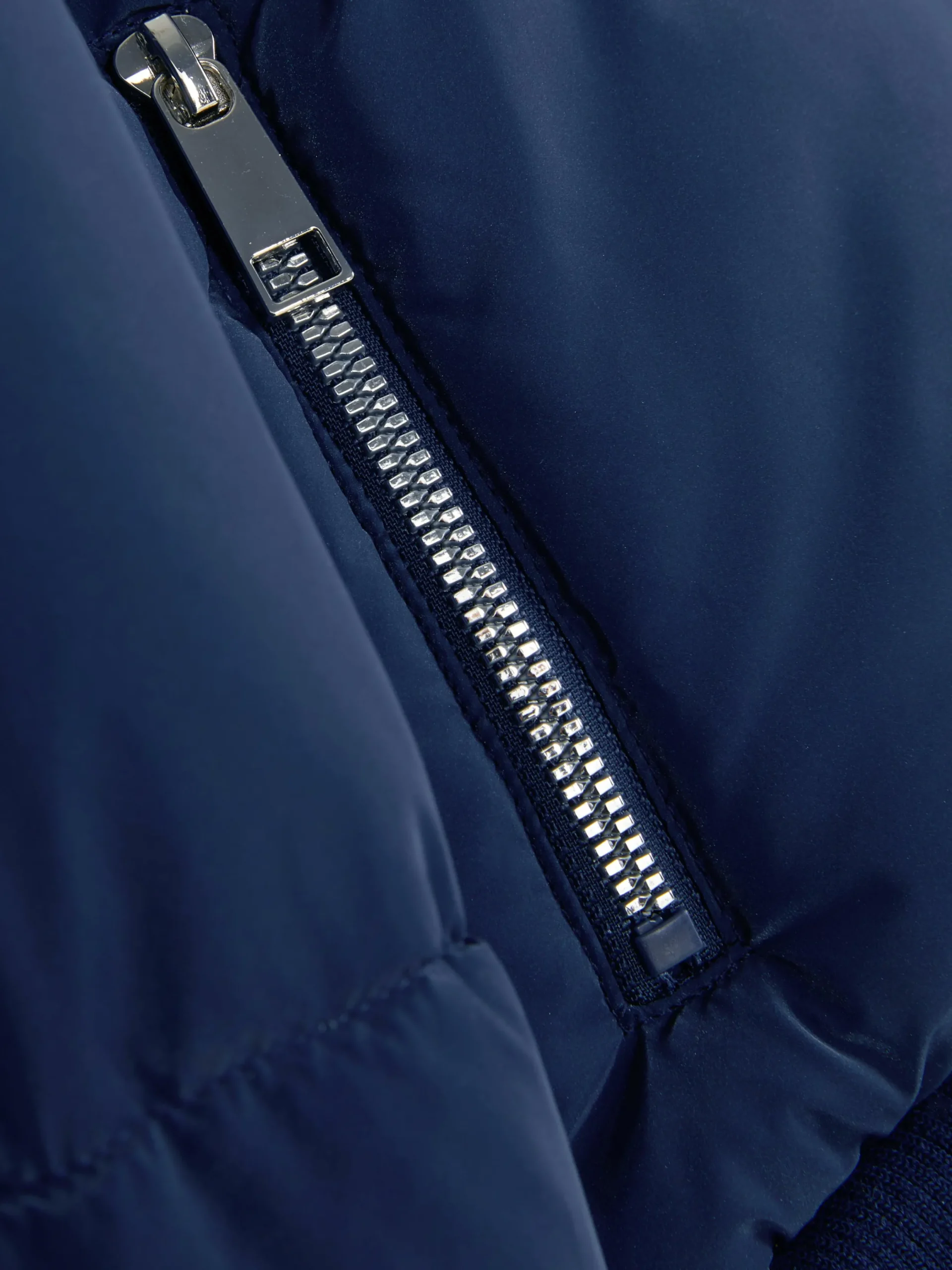 Manteaux Et Vestes|Primark Doudoune à Col Bleu marine