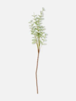 Plantes Et Fleurs Artificielles|Primark Eucalyptus Artificiel à Tige Unique Vert