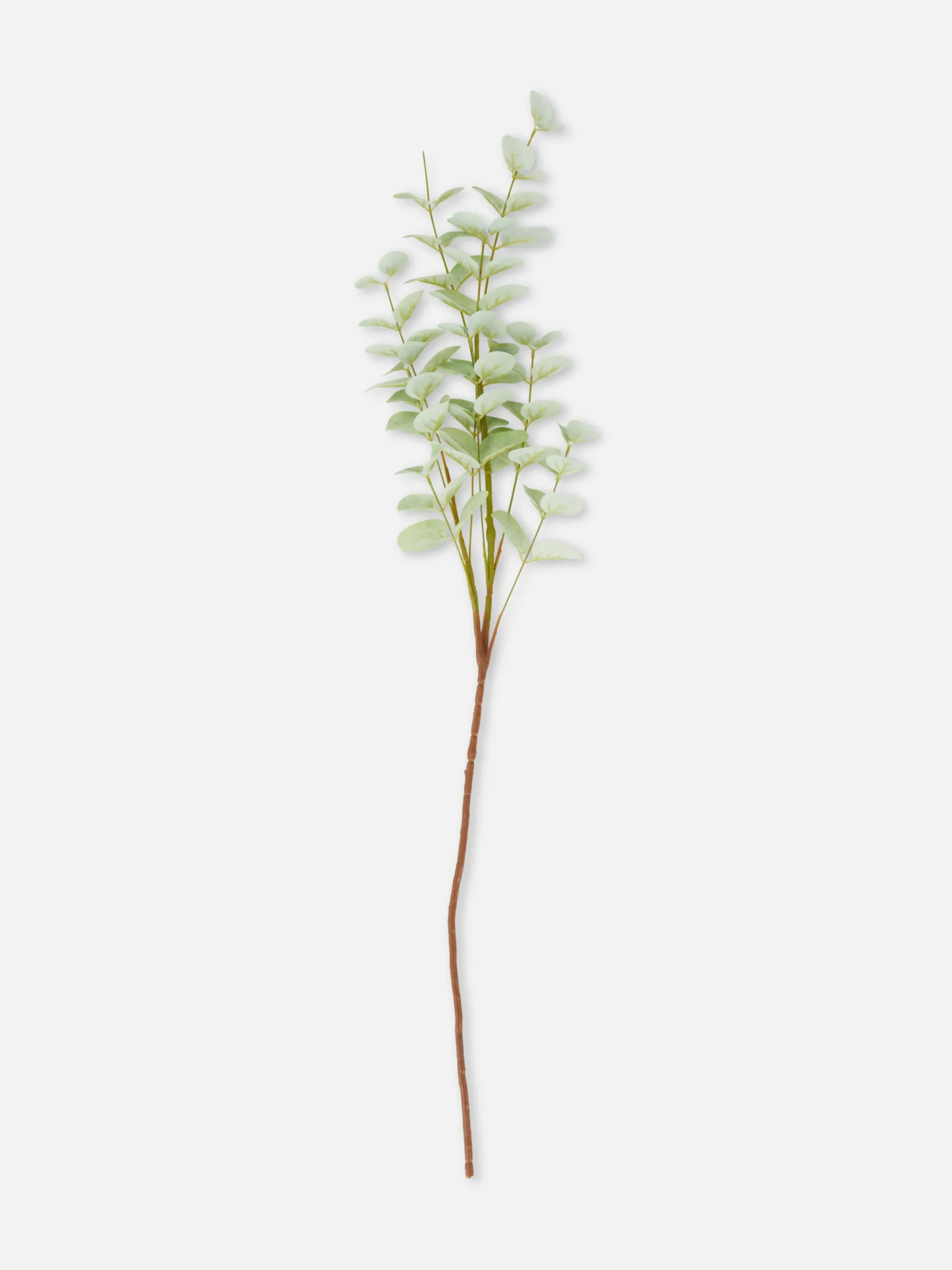 Plantes Et Fleurs Artificielles|Primark Eucalyptus Artificiel à Tige Unique Vert