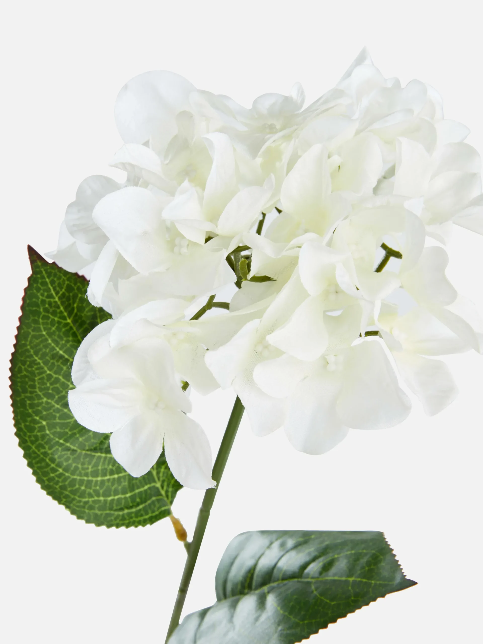 Plantes Et Fleurs Artificielles|Primark Fausse Fleur à Tige Unique Blanc