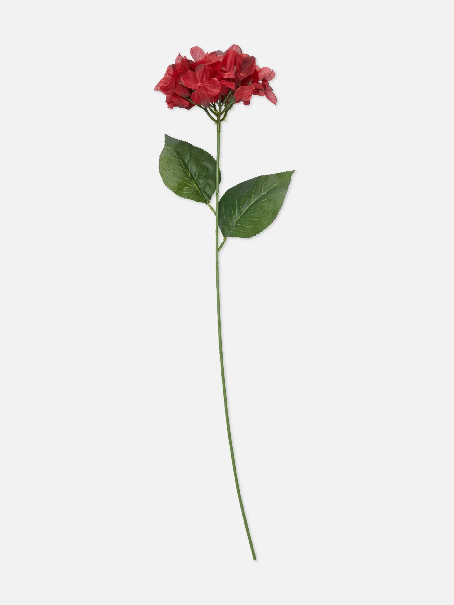 Plantes Et Fleurs Artificielles|Primark Fausse Fleur à Tige Unique Rouge