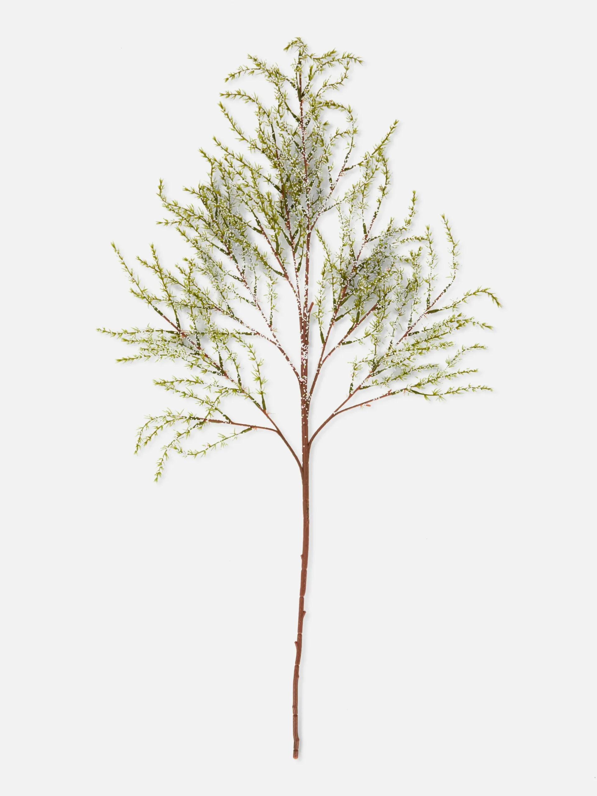 Plantes Et Fleurs Artificielles|Primark Fougère Artificielle Une Tige Crème