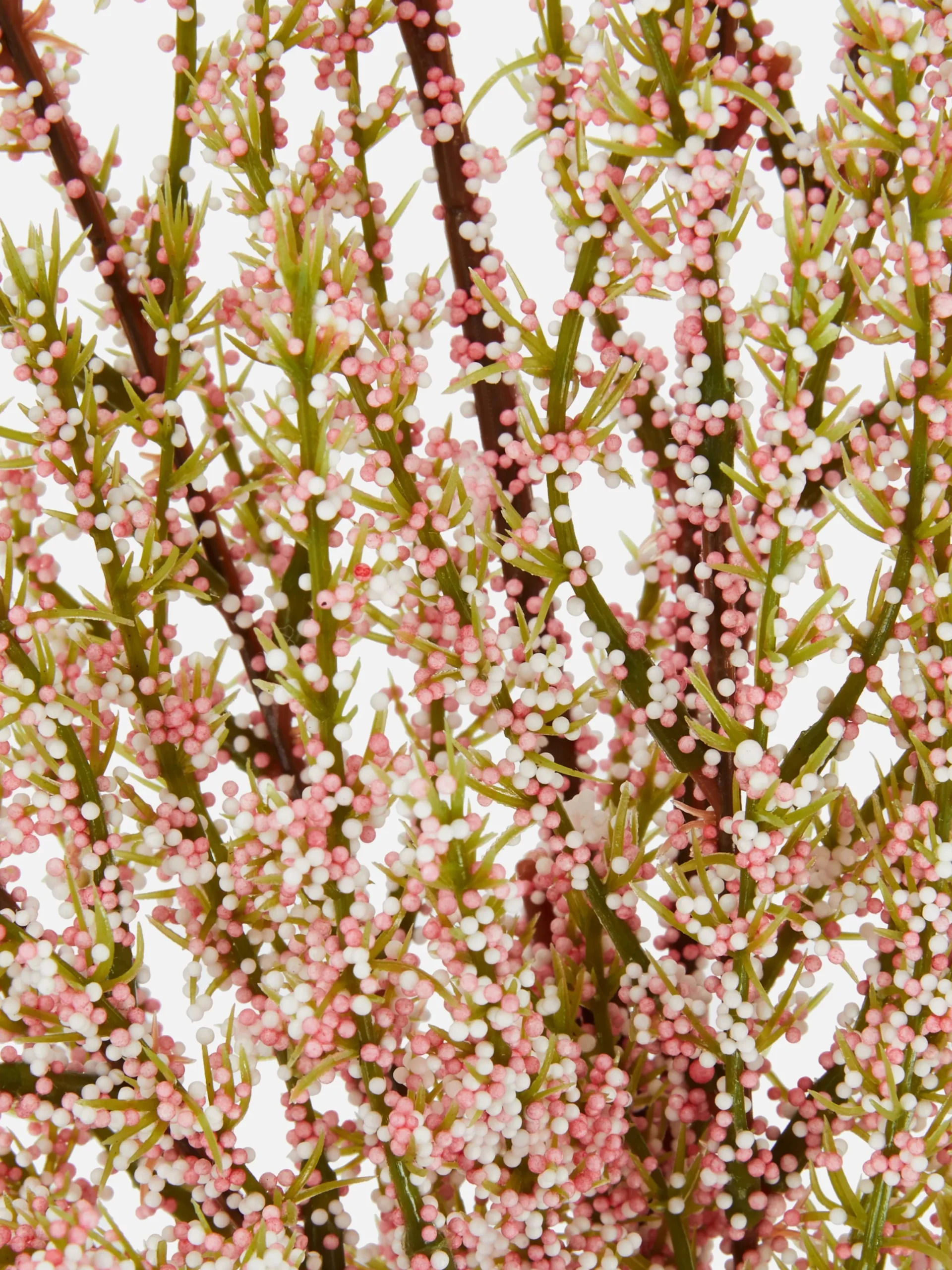 Plantes Et Fleurs Artificielles|Primark Fougère Artificielle Une Tige Rose