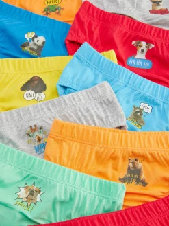 Sous-Vêtement|Primark Lot De 10 Slips à Motif Animalier Multicolore