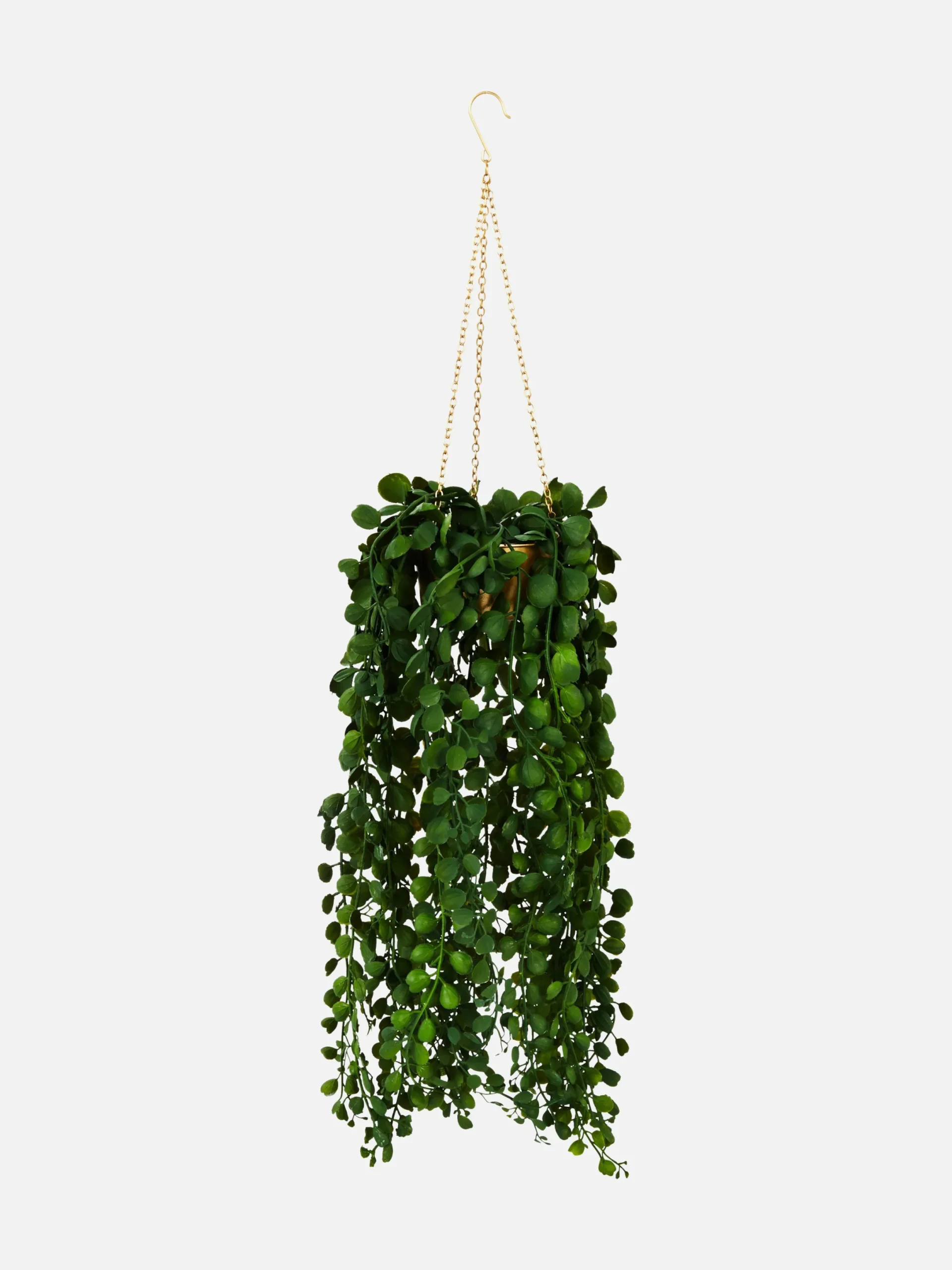 Plantes Et Fleurs Artificielles|Primark Plante Rampante Artificielle Dans Jardinière Doré