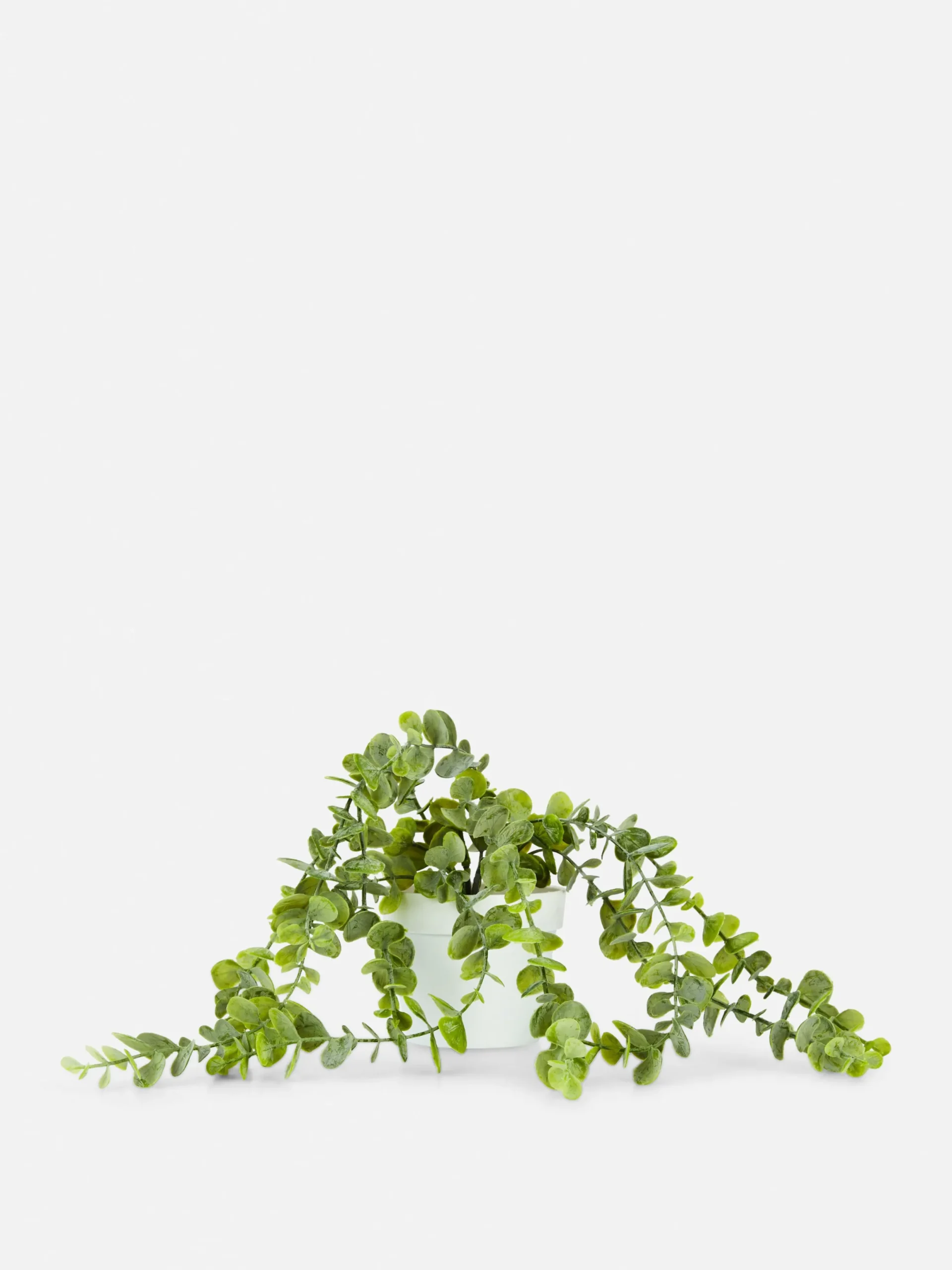 Plantes Et Fleurs Artificielles|Primark Plante Rampante Artificielle En Pot Blanc