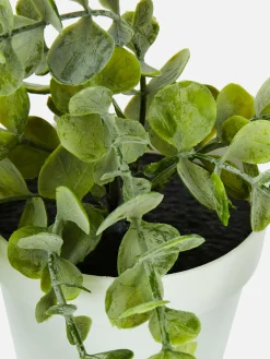 Plantes Et Fleurs Artificielles|Primark Plante Rampante Artificielle En Pot Blanc
