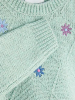 Pulls Et Gilets|Primark Pull En Maille à Fleurs Brodées Vert