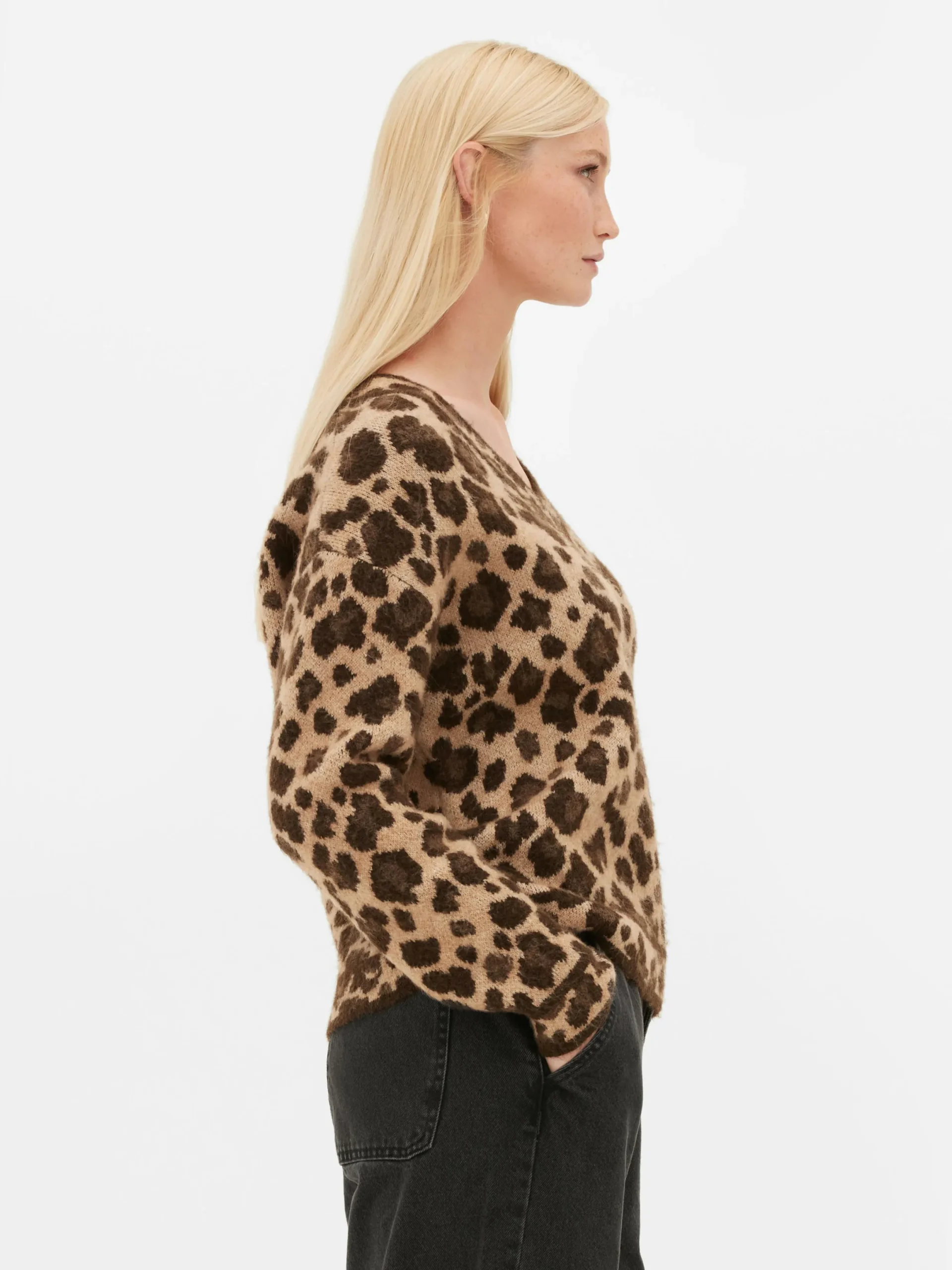 Pulls Et Gilets|Primark Pull Léopard à Col En V Multicolore