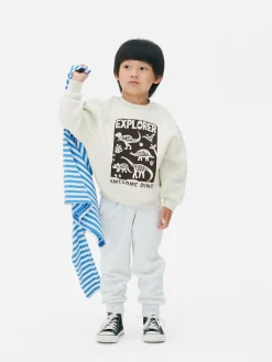 Sweats À Capuche Et Sweat-Shirts|Primark Sweat-shirt Ras-du-cou Graphique Gris