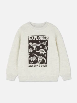 Sweats À Capuche Et Sweat-Shirts|Primark Sweat-shirt Ras-du-cou Graphique Gris